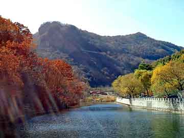 澳门二四六天天彩图库，丰田花冠论坛